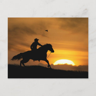 Cowboy and Horse Tävla the Sundown Vykort