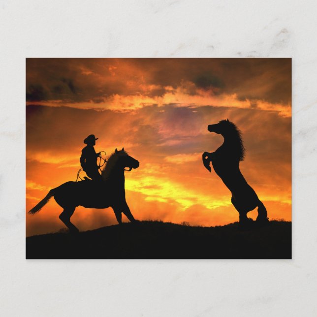 Cowboy and Vild Horse Rearing Land Western Vykort (Framsida)