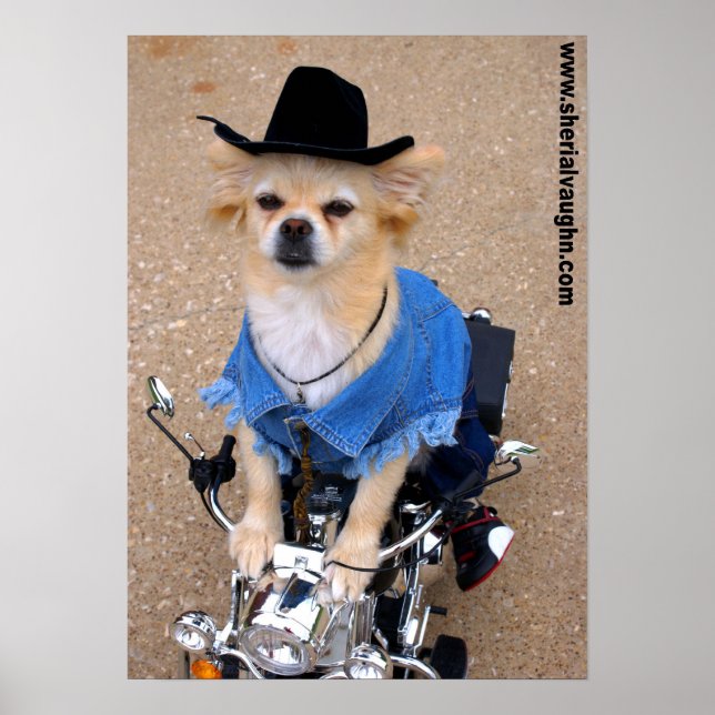 Cowboy Biker Hund Poster (Framsidan)