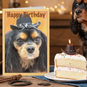 Cowboy Cavalier King Charles Spaniel Födelsedag Kort