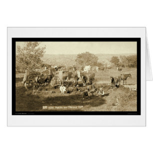 Cowboy Chuckwagon SD 1887 Hälsningskort