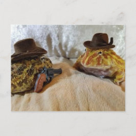 Cowboy Frogs Vykort