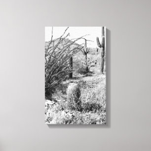 Cowboy Garden Canvas (AZ Sonoran Desert)