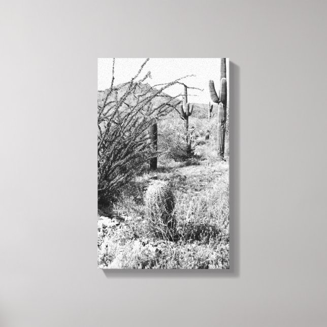 Cowboy Garden Canvas (AZ Sonoran Desert) (Framsida)
