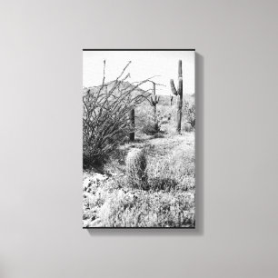 Cowboy Garden Canvas (AZ Sonoran Desert)