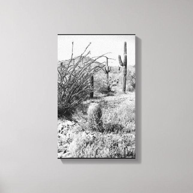 Cowboy Garden Canvas (AZ Sonoran Desert) (Framsida)