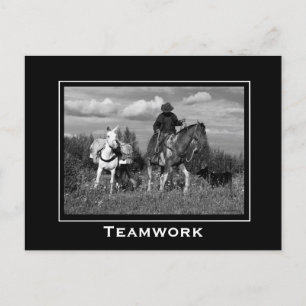 Cowboy Horse and Mule Motivational Postcards Vykort