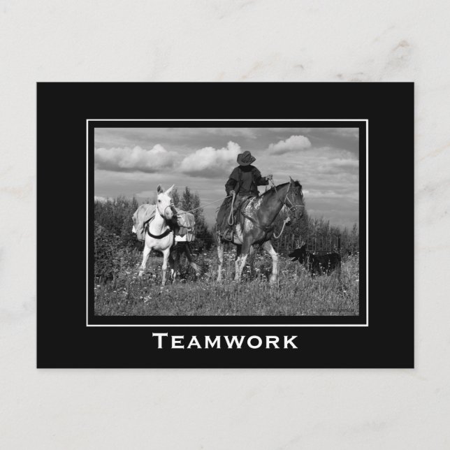 Cowboy Horse and Mule Motivational Postcards Vykort (Framsida)