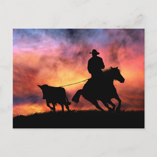 Cowboy Horse and Steer Roping in Sunset Vykort (Framsida)
