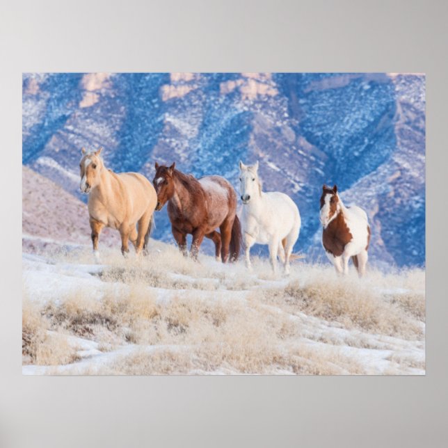 Cowboy Horse Drive på Hideout Ranch Poster (Framsidan)