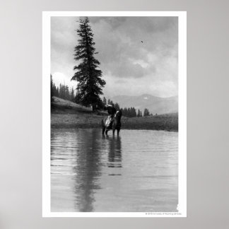 Cowboy i en damm poster