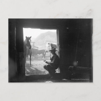 Cowboy i en dörr med hästar vykort