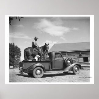Cowboy med häst i lastbil poster