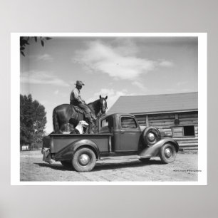 Cowboy med hästen i en lastbil poster