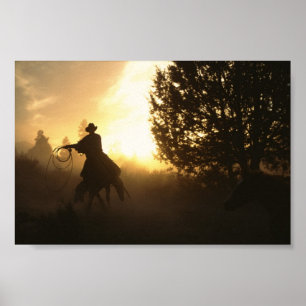 Cowboy med Lasso i Sunset Poster