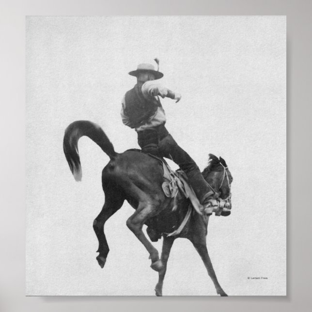 Cowboy Ned Coy Riding Bronco Poster (Framsidan)