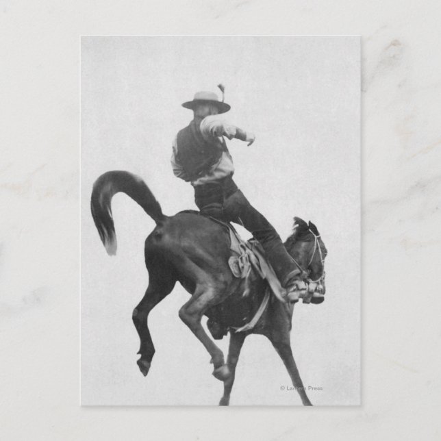 Cowboy Ned Coy Riding Bronco Vykort (Framsida)