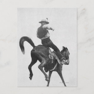 Cowboy Ned Coy Riding Bronco Vykort