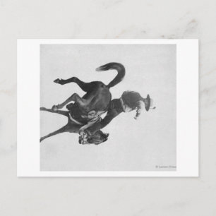 Cowboy Ned Coy Ridning Buckande Bronco Namngiven Vykort