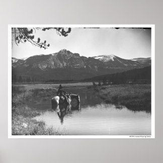 Cowboy och häst i en damm poster