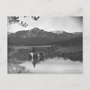 Cowboy och häst i en damm vykort