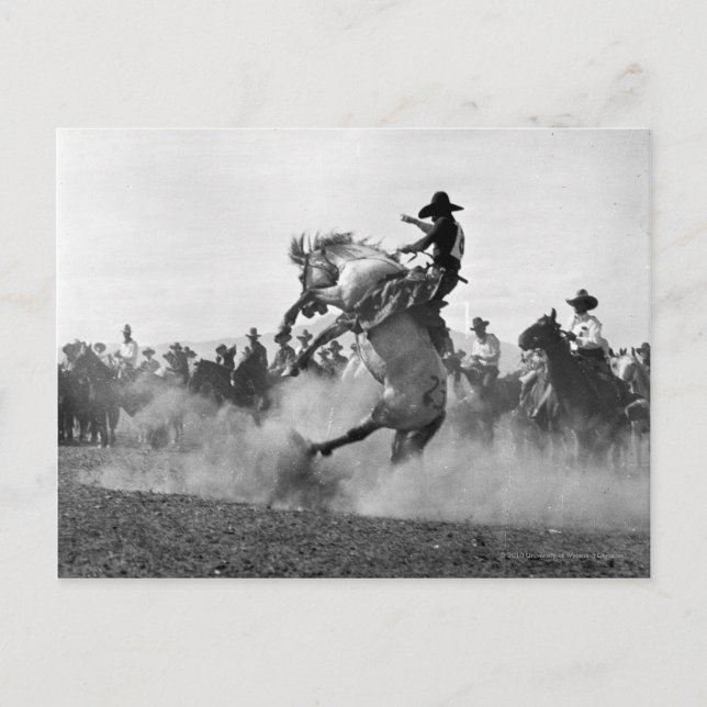 Cowboy på en buckande bronco vykort (Framsida)
