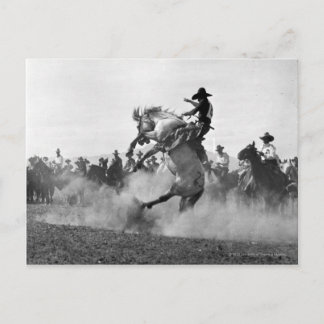 Cowboy på en buckande bronco vykort
