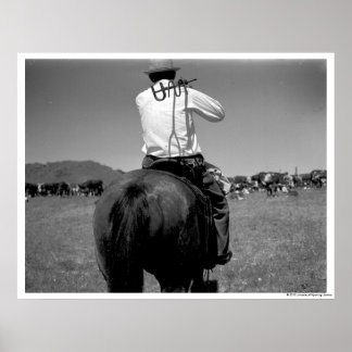 Cowboy på en häst med två märken. poster