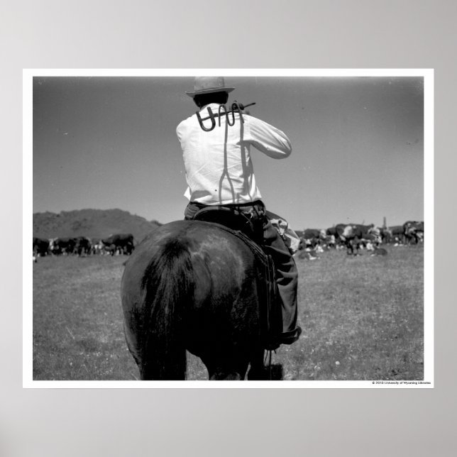 Cowboy på en häst med två märken. poster (Framsidan)