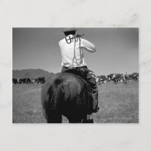 Cowboy på en häst med två märken. vykort