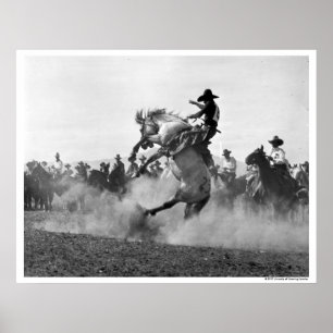 Cowboy på en sparka bakut bronco poster