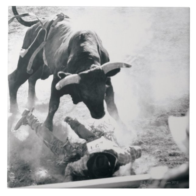 Cowboy på slipat, når att ha fallit av tjur kakelplatta (Framsidan)