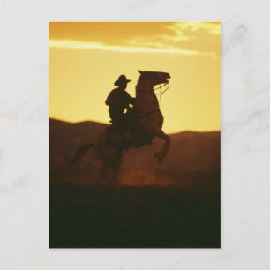 Cowboy på stigande häst vykort