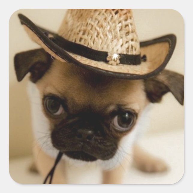Cowboy Pug Puppy Fyrkantigt Klistermärke (Framsida)