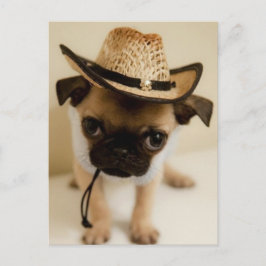 Cowboy Pug Puppy Vykort