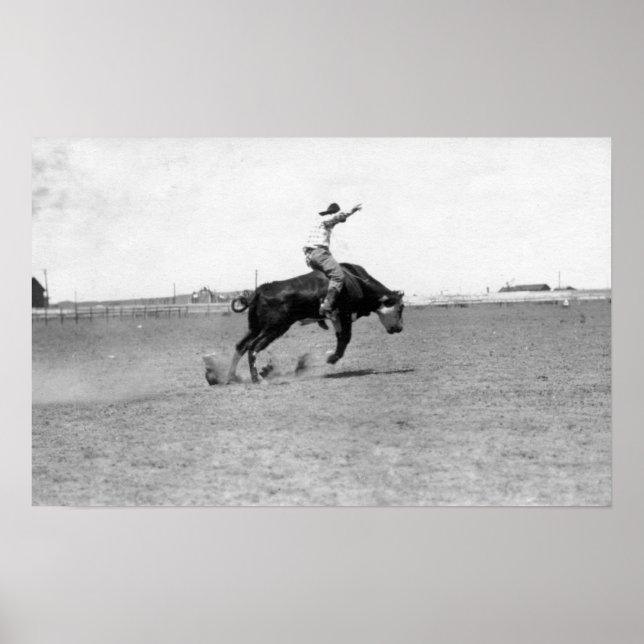 Cowboy Riding a Bucking Bull Poster (Framsidan)