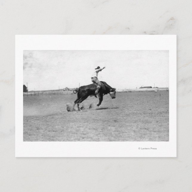 Cowboy Riding a Bucking Bull Vykort (Framsida)