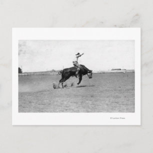 Cowboy Riding a Bucking Bull Vykort