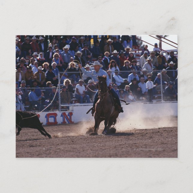 Cowboy Roping Calf på Rodeo Vykort (Framsida)