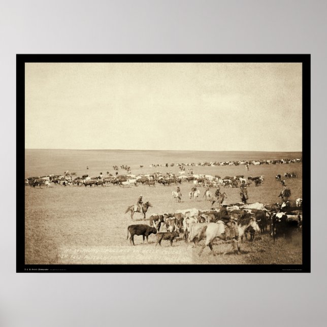 Cowboy Round-Up på Belle Fouche SD 1887 Poster (Framsidan)