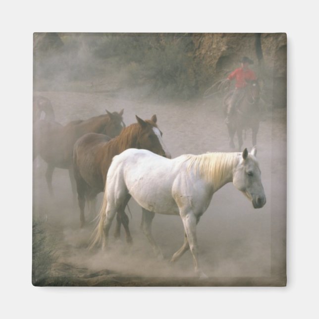 Cowboy Samlare Magnet (Framsidan)