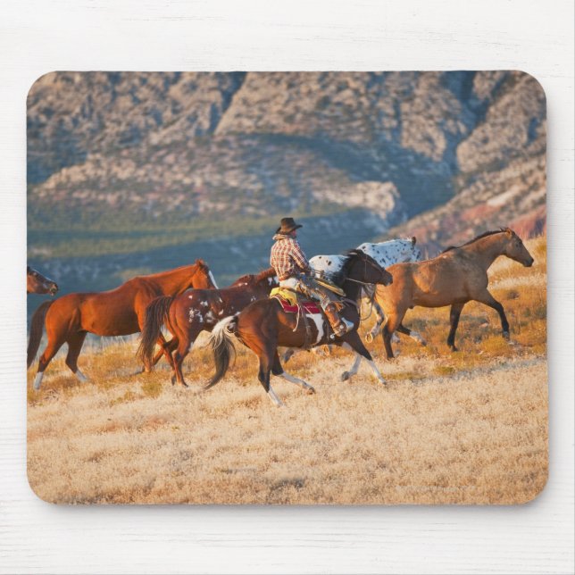 Cowboy samlare vild horse 2 musmatta (Framsidan)