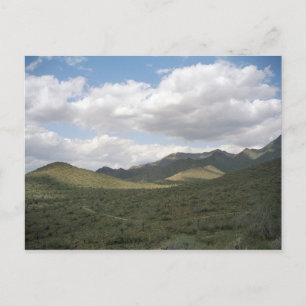 Cowboy Skyline Arizona Desert Photo Postcards Vykort