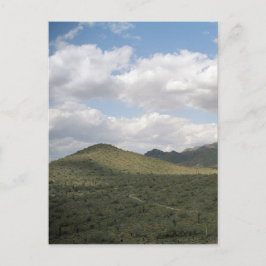 Cowboy Skyline Arizona Desert Photo Postcards Vykort