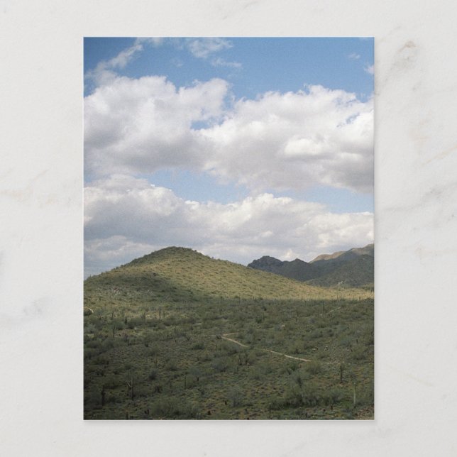 Cowboy Skyline Arizona Desert Photo Postcards Vykort (Framsida)