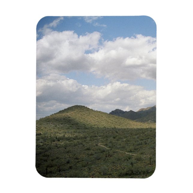 Cowboy Skyline Decorative Western Desert Magnet (Vertikal)
