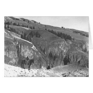 Cowboy som avskiljs från hans herd. hälsningskort