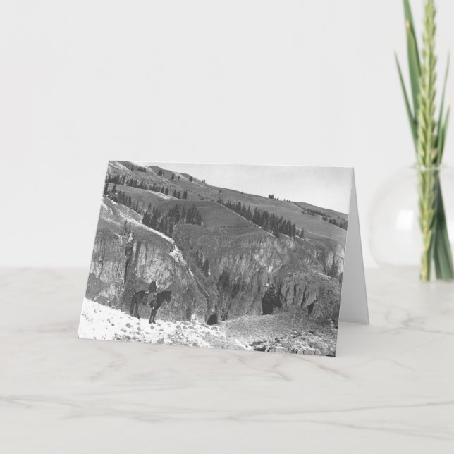 Cowboy som avskiljs från hans herd. kort (Framsida)