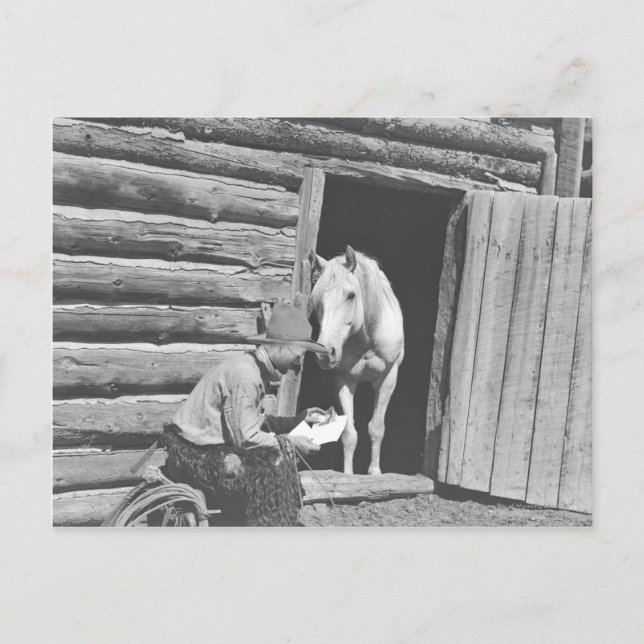 Cowboy som läser brev med häst vykort (Framsida)