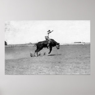 Cowboy som rider en sparka bakut tjur poster